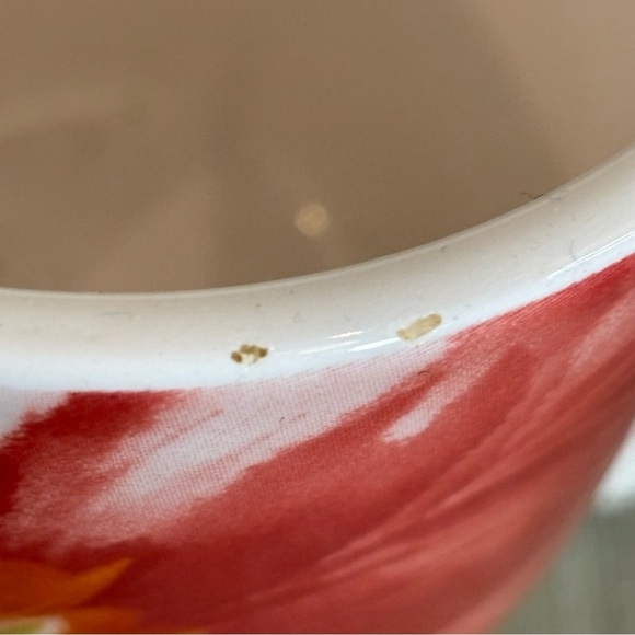 PIER 1 IMPORTS Set of 2 Mugs Floral Tiny Chips on One Mug 12 oz - Picture 3 of 8